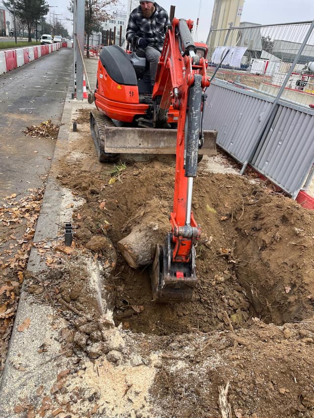 Dessouchage d'un arbre à la mini-pelle sur un trottoir de chantier